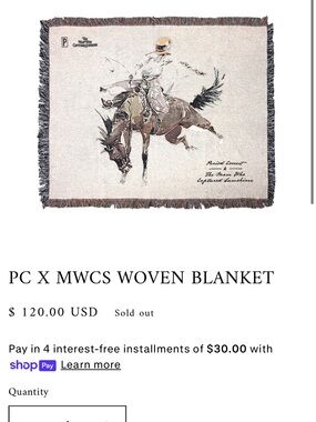 100% cotton woven blanket